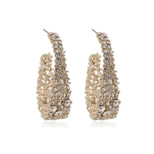 Load image into Gallery viewer, Fashionable Rhinestone Earrings