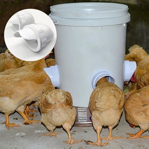 Feeding Kit Special Tools For Breeding Chickens Ducks Poultry Accessories